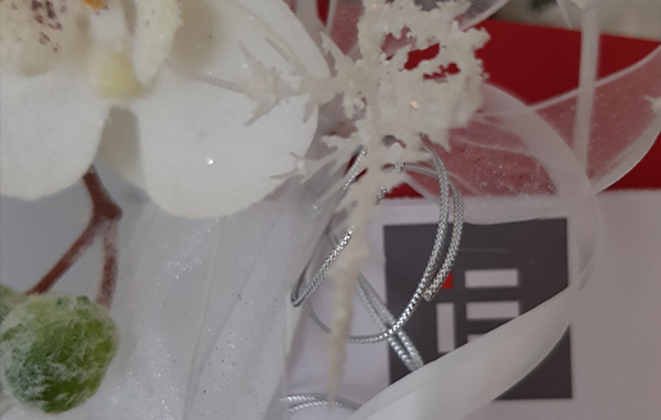 bon-cadeaux-institut-eglantine-2